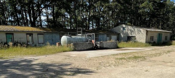 Propriété commerciale à Prignitz, Germany 900m² No. 44660 7