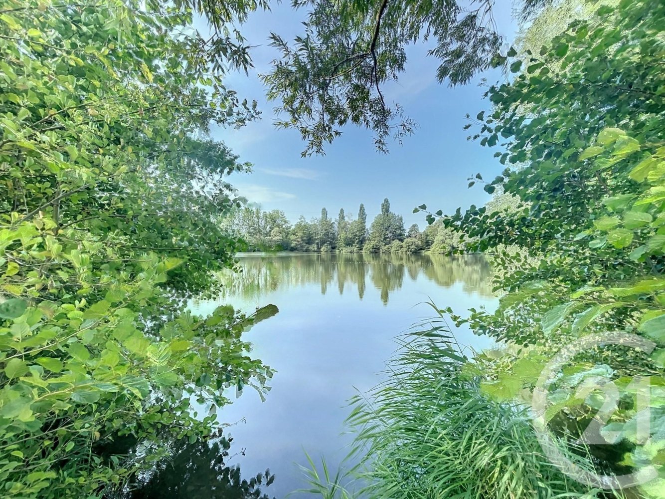  Land in Rehainviller, France No. 255037