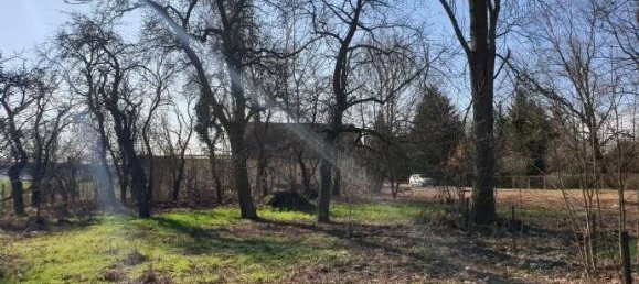 Grundstück in Oberspreewald-Lausitz, Germany, Nr. 79610 2