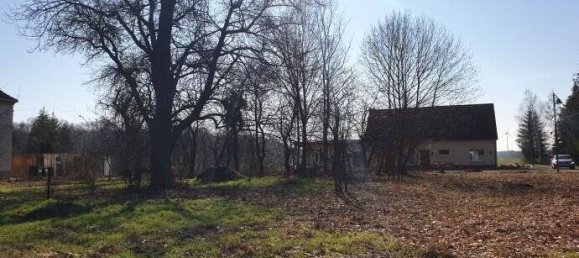 Grundstück in Oberspreewald-Lausitz, Germany, Nr. 79610 3