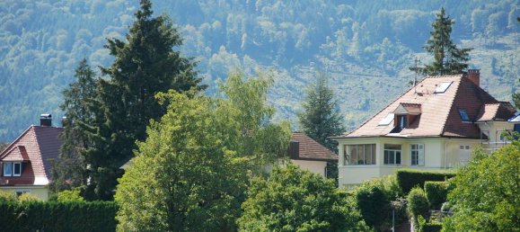 2 bedrooms Apartment in Baden-Baden, Germany No. 260282 10