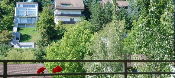 2 bedrooms Apartment in Baden-Baden, Germany No. 260282 6