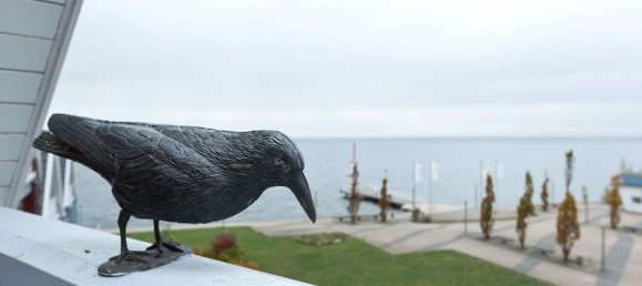 Дуплекс с 2 спальнями в Мекленбургское Поозёрье, Германия № 165346 2