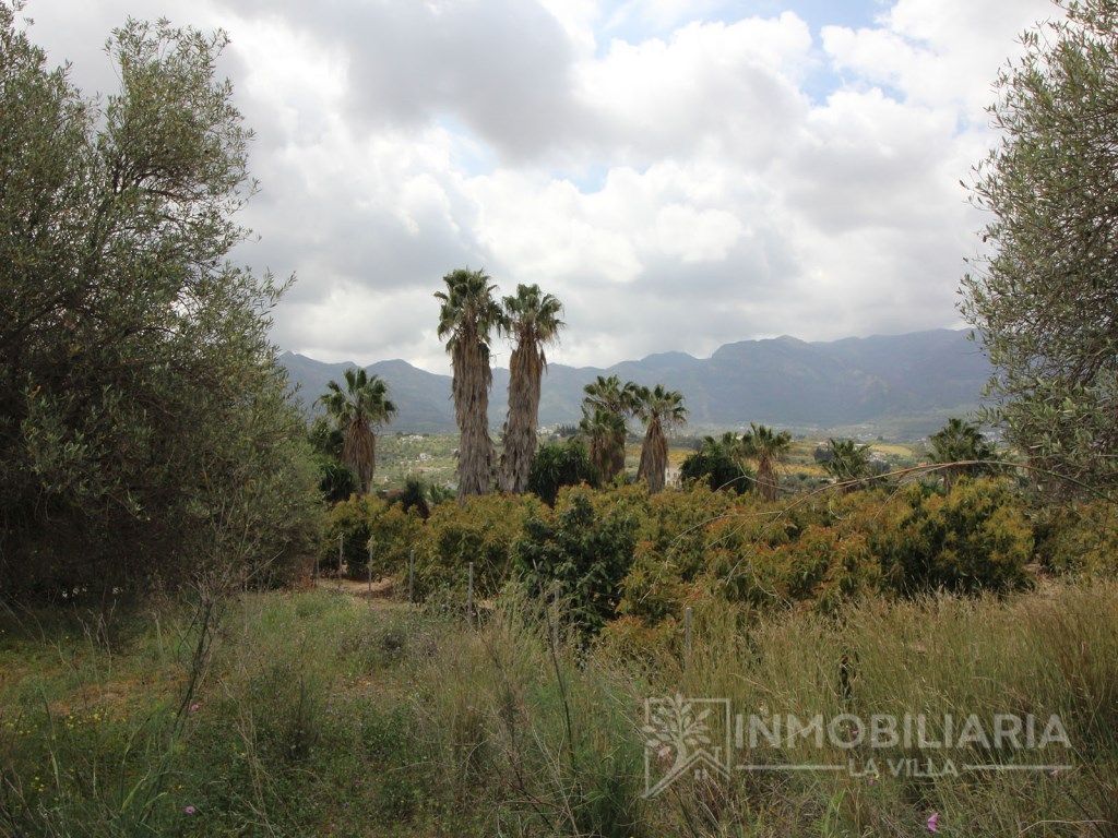 Terreno em Alhaurin el Grande, Spain 7051 m² N.º 238785