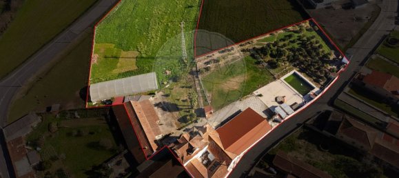 9 bedrooms House in Oliveira do Bairro, Portugal No. 187548 3