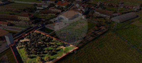 9 bedrooms House in Oliveira do Bairro, Portugal No. 187548 45