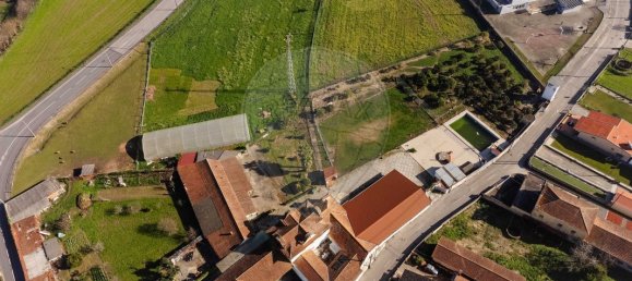 9 bedrooms House in Oliveira do Bairro, Portugal No. 187548 5