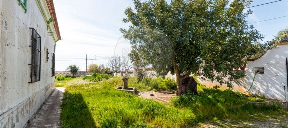 5 غرف نوم منزل في Montemor o Novo, Portugal رقم 27940 22