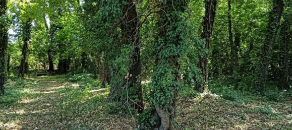  Land in Foligno, Italy No. 370873 2