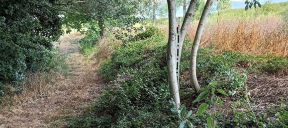  Land in Foligno, Italy No. 370873 12