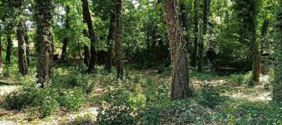  Land in Foligno, Italy No. 370873 4