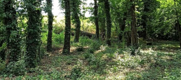  Land in Foligno, Italy No. 370873 7