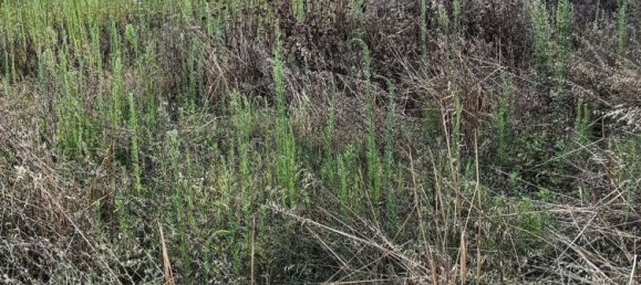  Land in Foligno, Italy No. 370873 13