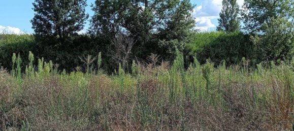  Land in Foligno, Italy No. 370873 10