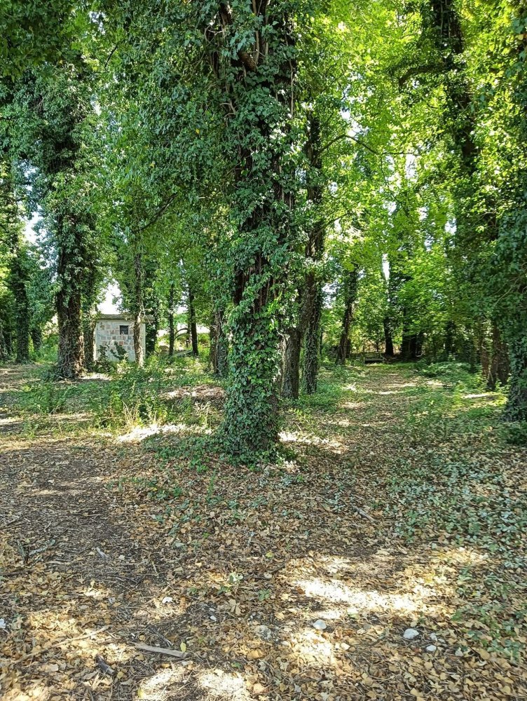  Land in Foligno, Italy No. 370873