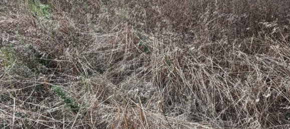  Land in Foligno, Italy No. 370873 14