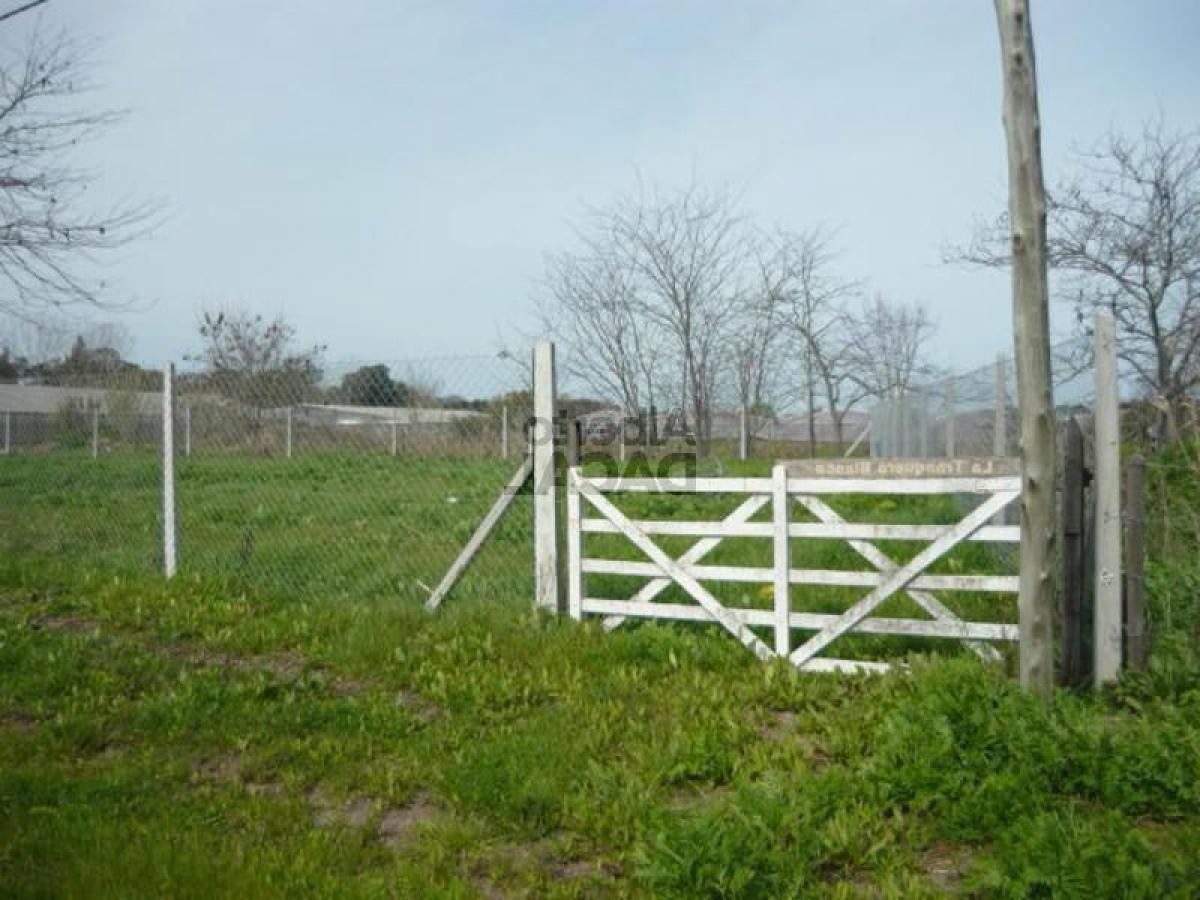  Land in Campo Creado, Argentina No. 50938