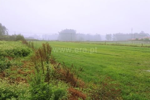 Земельный участок в Барселуш, Португалия № 202260