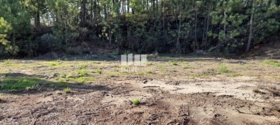 1300m² Land in Amarante, Portugal No. 57476 9