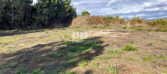 1300m² Land in Amarante, Portugal No. 57476 18