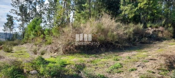 1300m² Land in Amarante, Portugal No. 57476 25