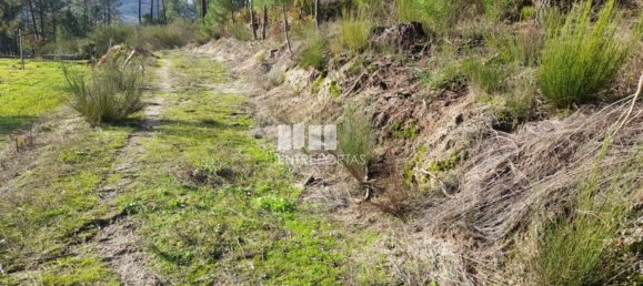 1300m² Land in Amarante, Portugal No. 57476 2