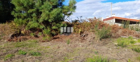 1300m² Land in Amarante, Portugal No. 57476 21