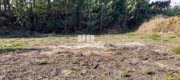 1300m² Land in Amarante, Portugal No. 57476 14