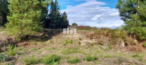 1300m² Land in Amarante, Portugal No. 57476 27