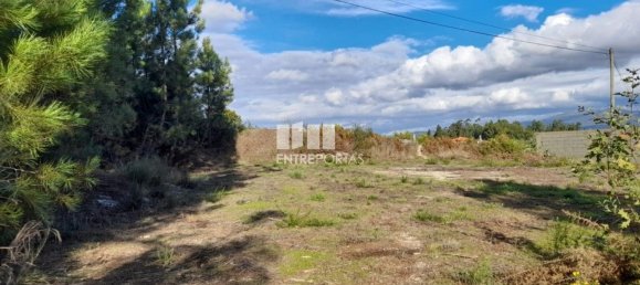 1300m² Land in Amarante, Portugal No. 57476 3
