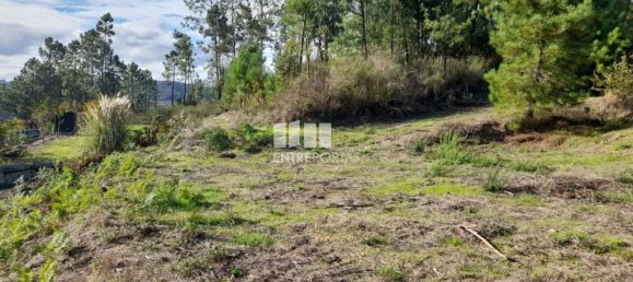 1300m² Land in Amarante, Portugal No. 57476 22