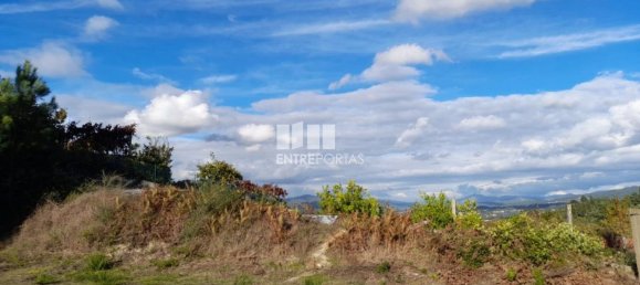 1300m² Land in Amarante, Portugal No. 57476 13