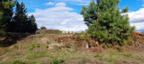 1300m² Land in Amarante, Portugal No. 57476 28