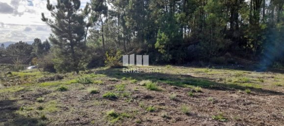 1300m² Land in Amarante, Portugal No. 57476 12