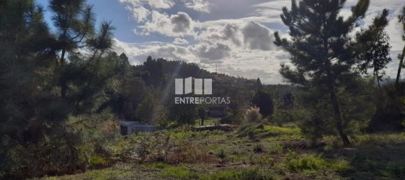 1300m² Land in Amarante, Portugal No. 57476 7