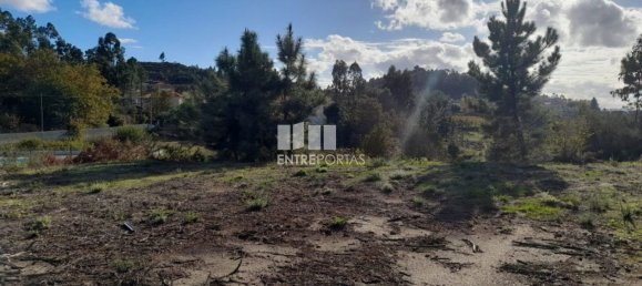 1300m² Land in Amarante, Portugal No. 57476 6