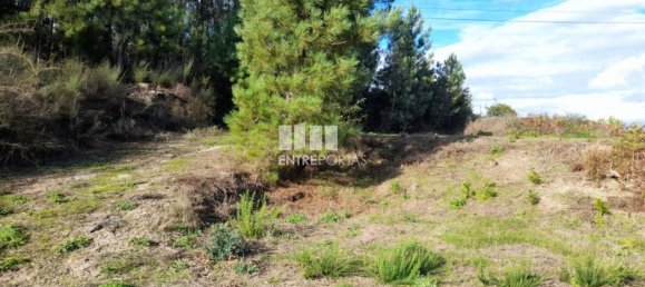 1300m² Land in Amarante, Portugal No. 57476 26