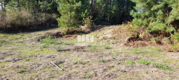 1300m² Land in Amarante, Portugal No. 57476 20