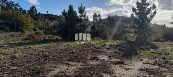 1300m² Land in Amarante, Portugal No. 57476 8