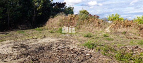 1300m² Land in Amarante, Portugal No. 57476 11