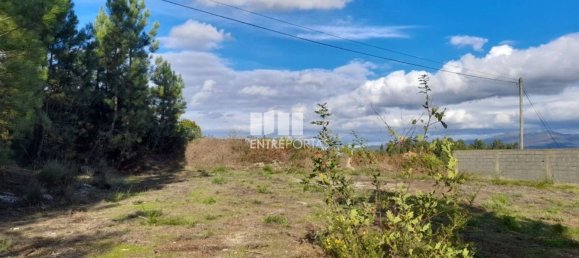 1300m² Land in Amarante, Portugal No. 57476 4