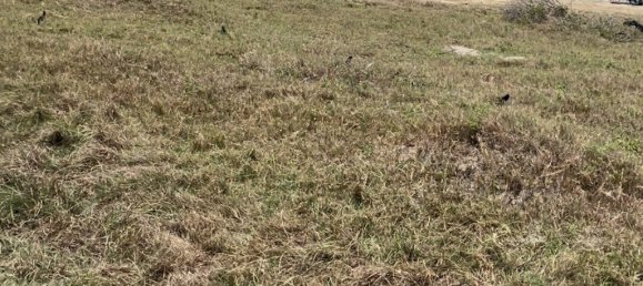  Commercial property in Hua Hin, Thailand No. 7802 4