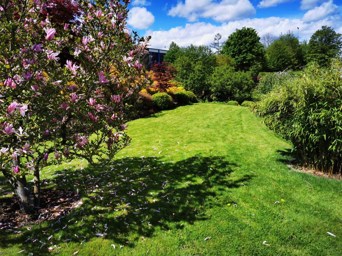  Land in Hochsauerlandkreis, Germany No. 217736