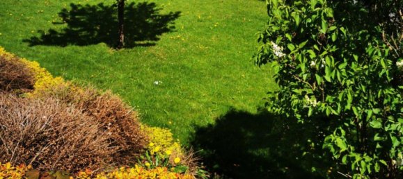 Land in Hochsauerlandkreis, Germany No. 217736 3