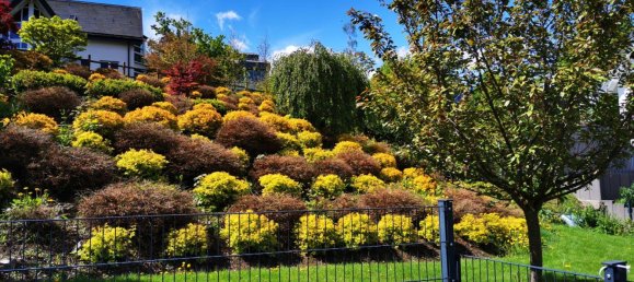 Land in Hochsauerlandkreis, Germany No. 217736 2
