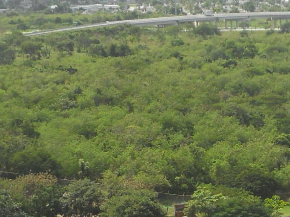 Grundstück in Merida, Mexico, Nr. 99013