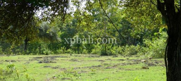 5000m² Land in South Kuta, Indonesia No. 4203 7