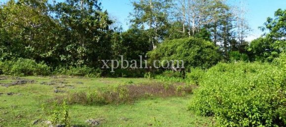 5000m² Land in South Kuta, Indonesia No. 4203 2