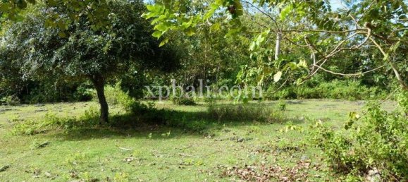 5000m² Land in South Kuta, Indonesia No. 4203 3