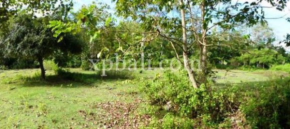 5000m² Land in South Kuta, Indonesia No. 4203 5